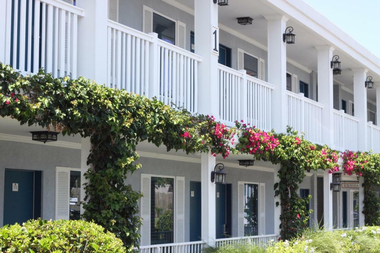 Southern Oaks Inn - Saint Augustine Exteriör bild